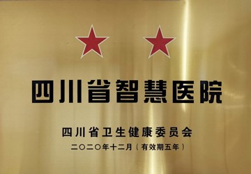 四川省智慧医院